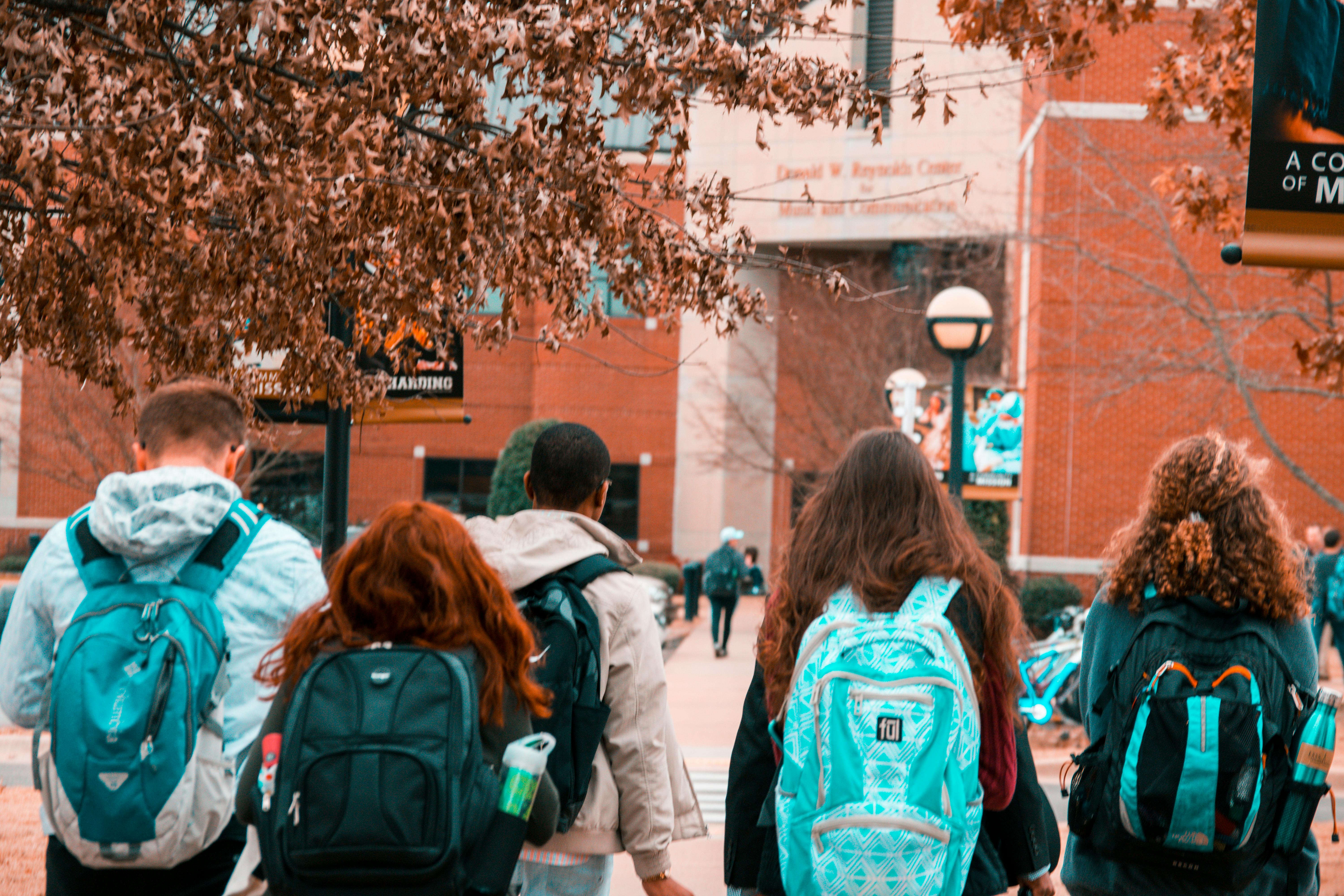 A view of the backs of a group of college students walking toward a university building